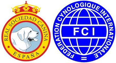 Logos RSCE y FCI